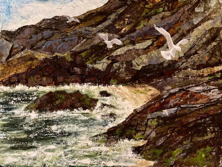 Gulls At Polruan - Louise Kidd