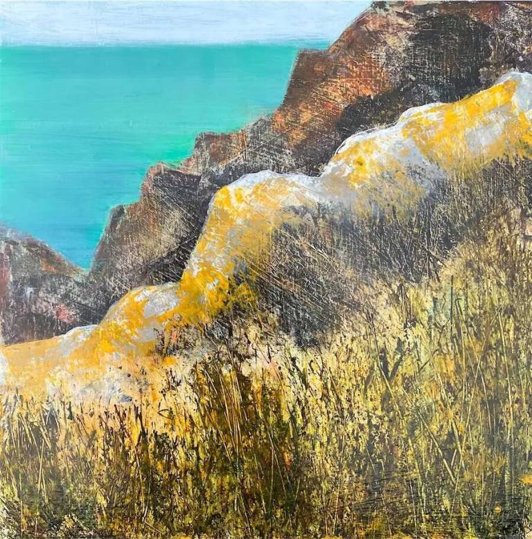 Lichen On Rocks 1 - Louise Kidd