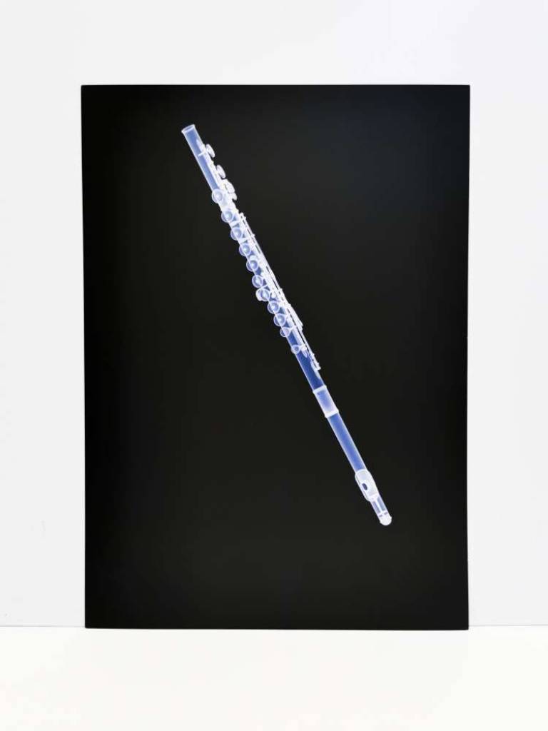 ☢ Poster Prints - XOGRAM // Hugh Turvey X-ray Artist