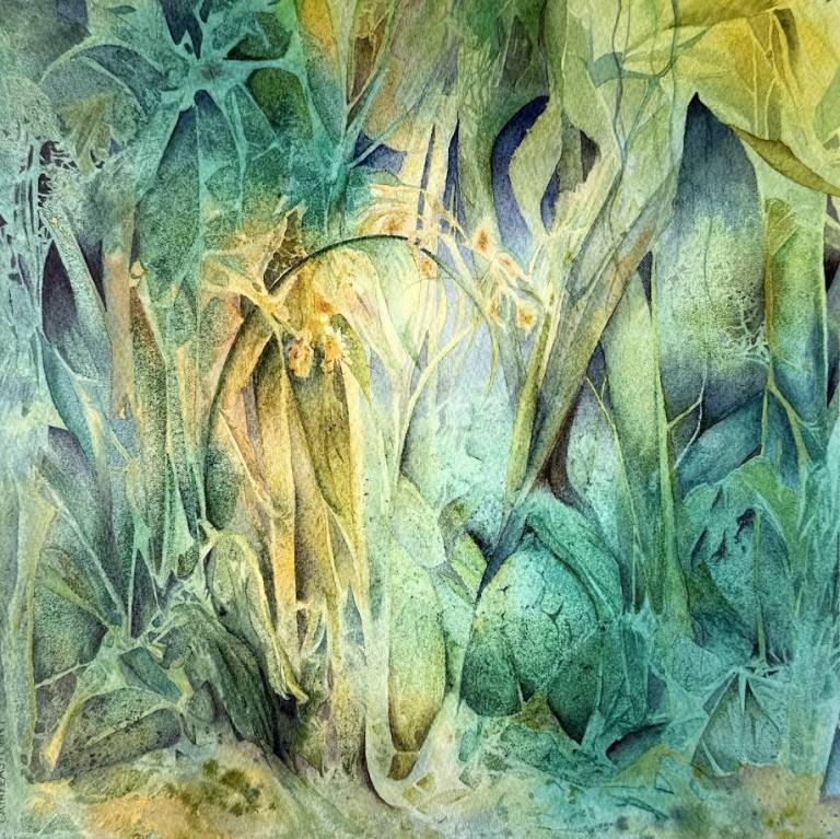 Forest dream - Cathy Eastment Art