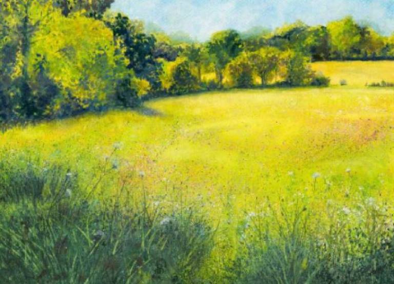 Meditation Meadow - Cathy Eastment Art
