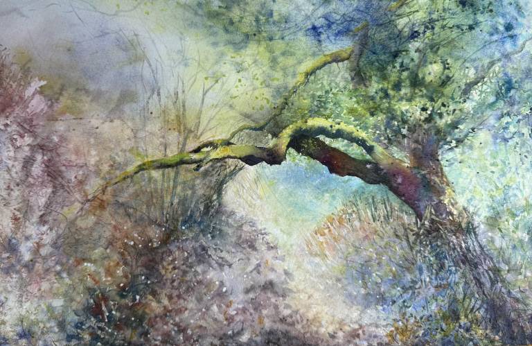 Parc Shady Magic - Cathy Eastment Art