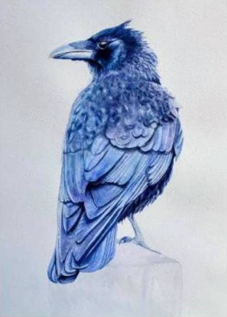 Sacred Crow - Cathy Eastment Art