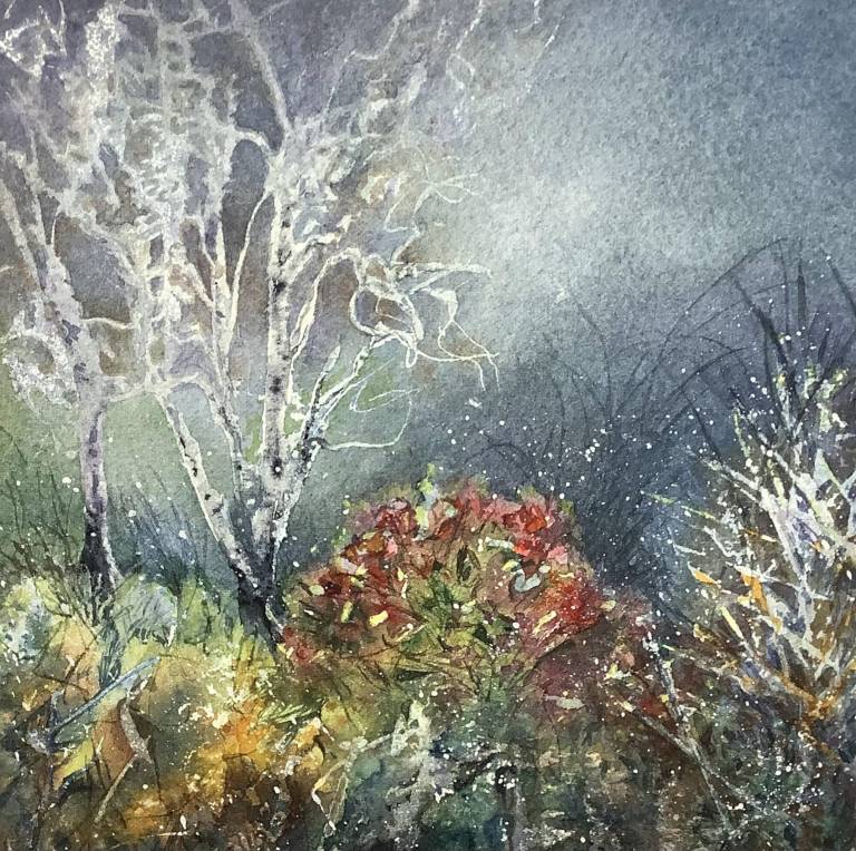 Frosted Moods - Cathy Eastment Art