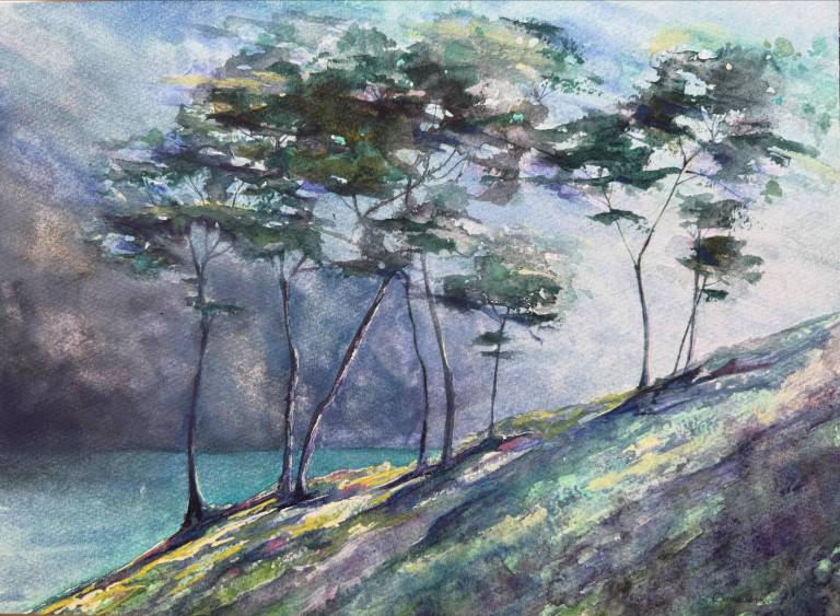 Approaching front- Roseland - Cathy Eastment Art