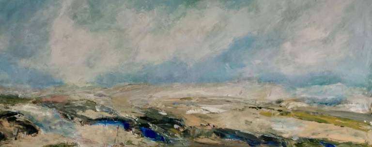 Heathland - Alison Summerfield