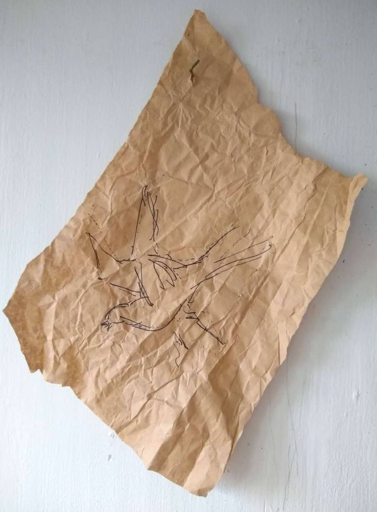 Bird Ink On Packing Paper - Janey Hagger