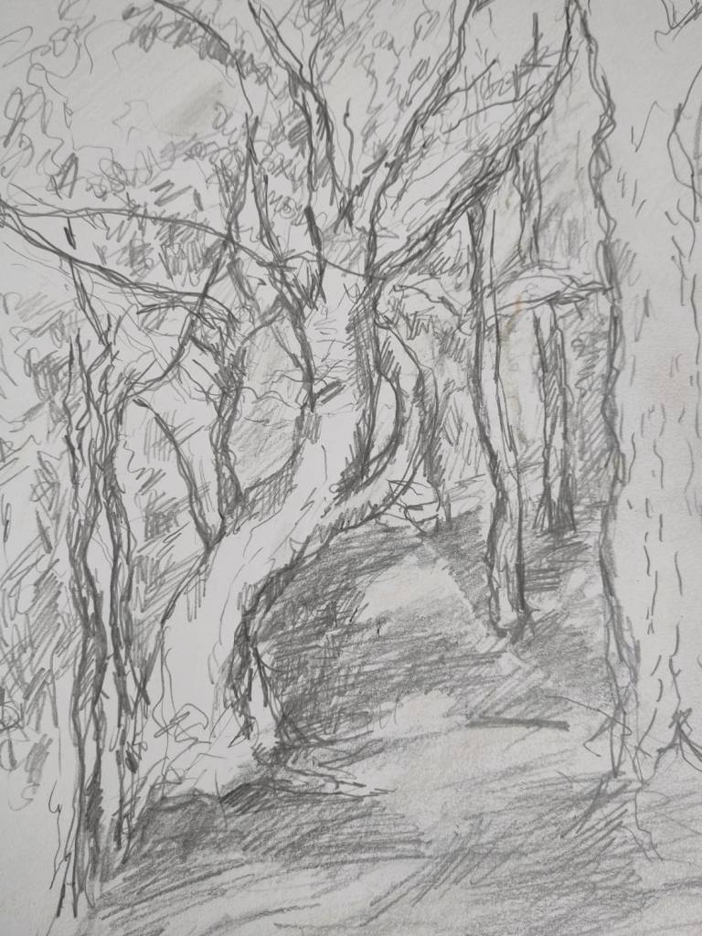 Highgate Woods 2 study - Janey Hagger