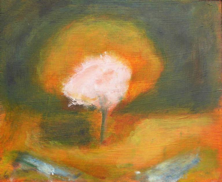 Dartmoor Hawthorn - Janey Hagger