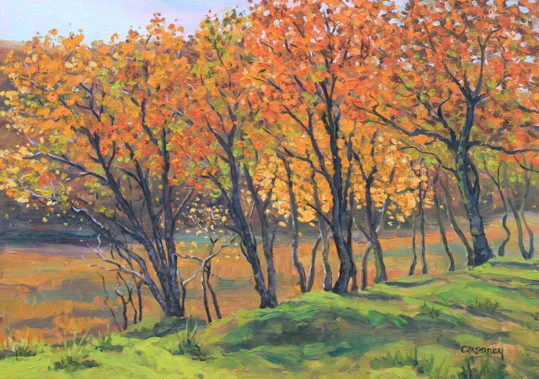 Autumn Stand, Torrin - Claire Rooney