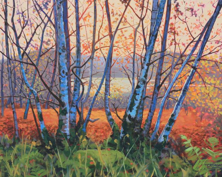 Autumn light, Kinloch - Claire Rooney