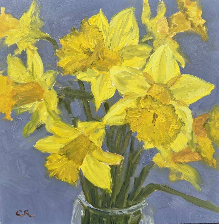 Daffodils - Claire Rooney