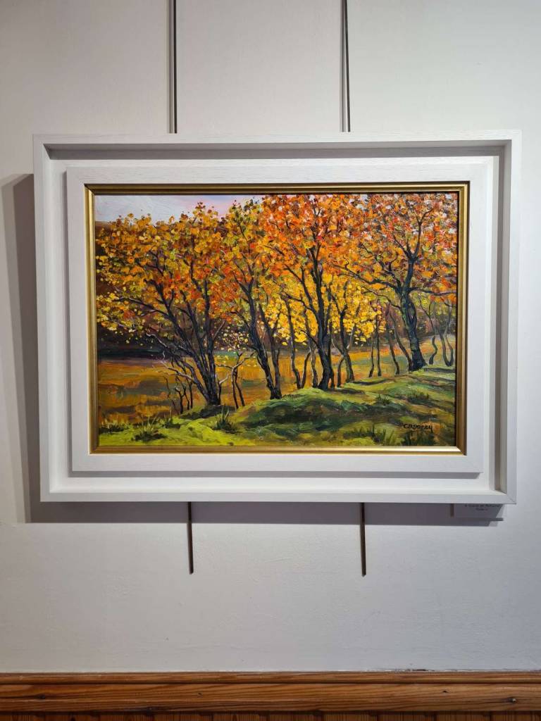 Autumn Stand, Torrin - Claire Rooney