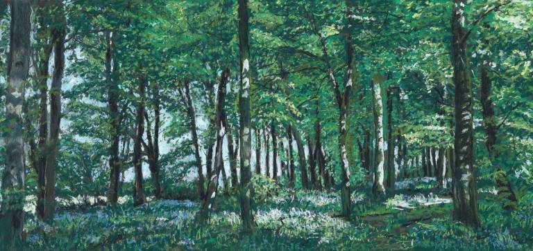 East Harptree Woods - The Beeches - Kevin Hemmings