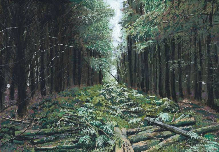 East Harptree Woods - Kevin Hemmings