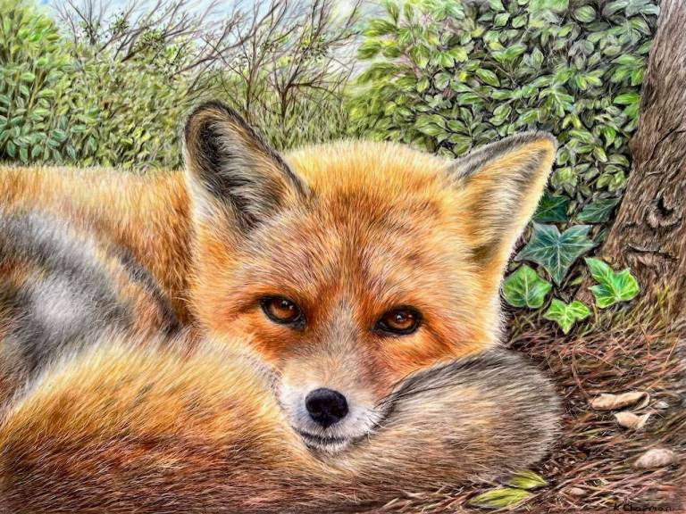 Fox's hideaway - Karen Chapman