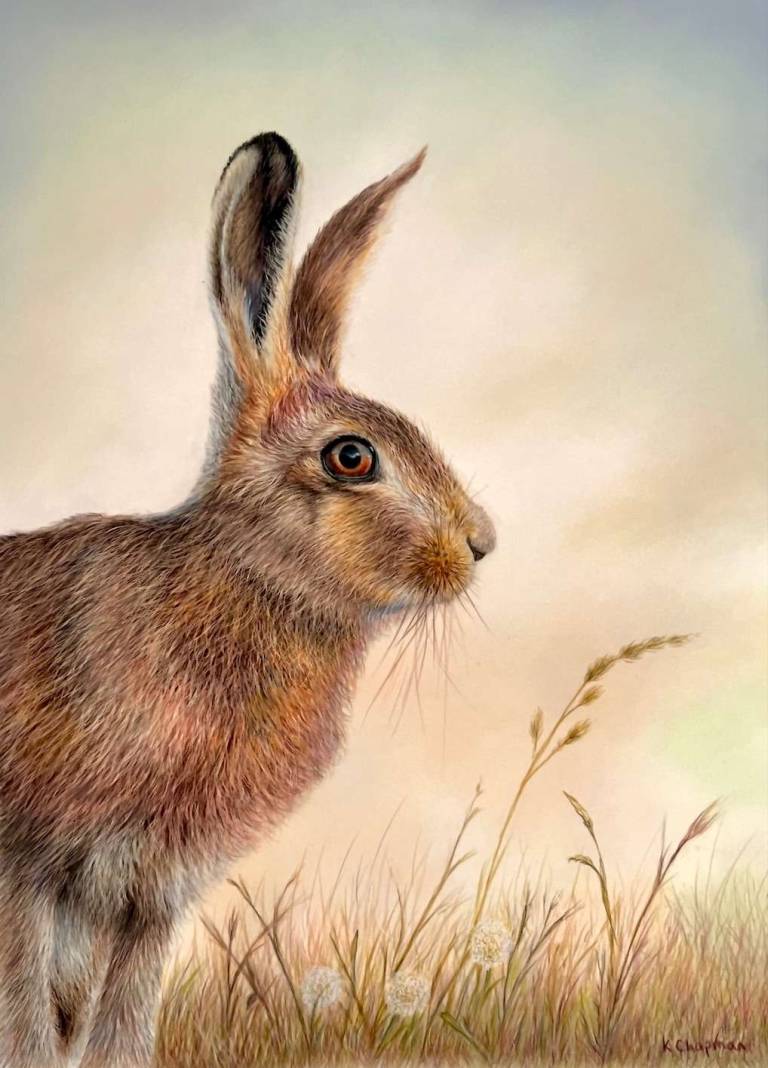 Hare in the meadow - Karen Chapman