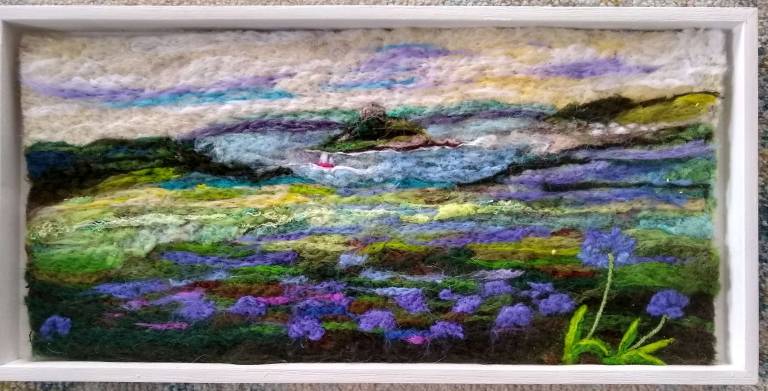 Agapanthus fields near St . Michael's Mount - Suzanne Stobbs