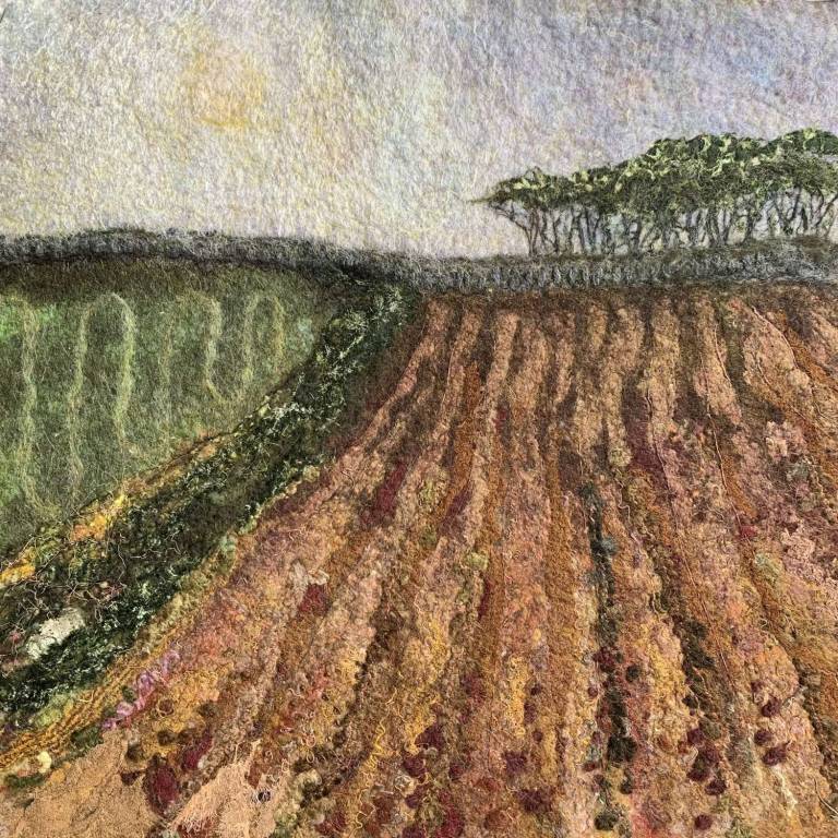 Fieldscape - Tanya Rogers