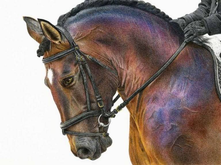 Poised - Tamsin Dearing