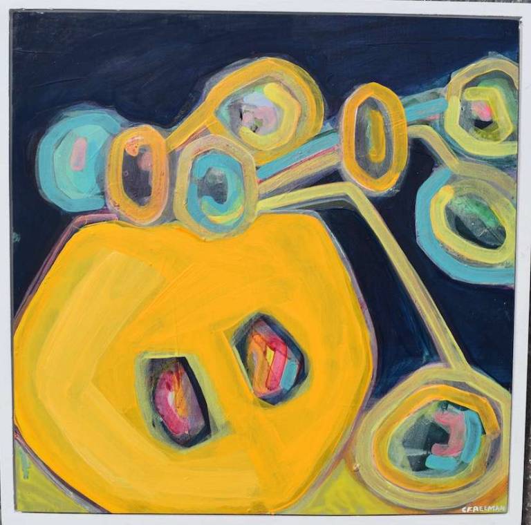 Ordinary things - sunlit money plant - Cathy Freeman