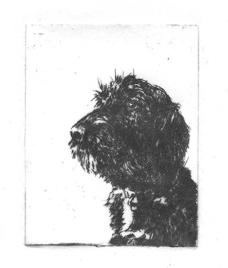 Dog Portraits - 