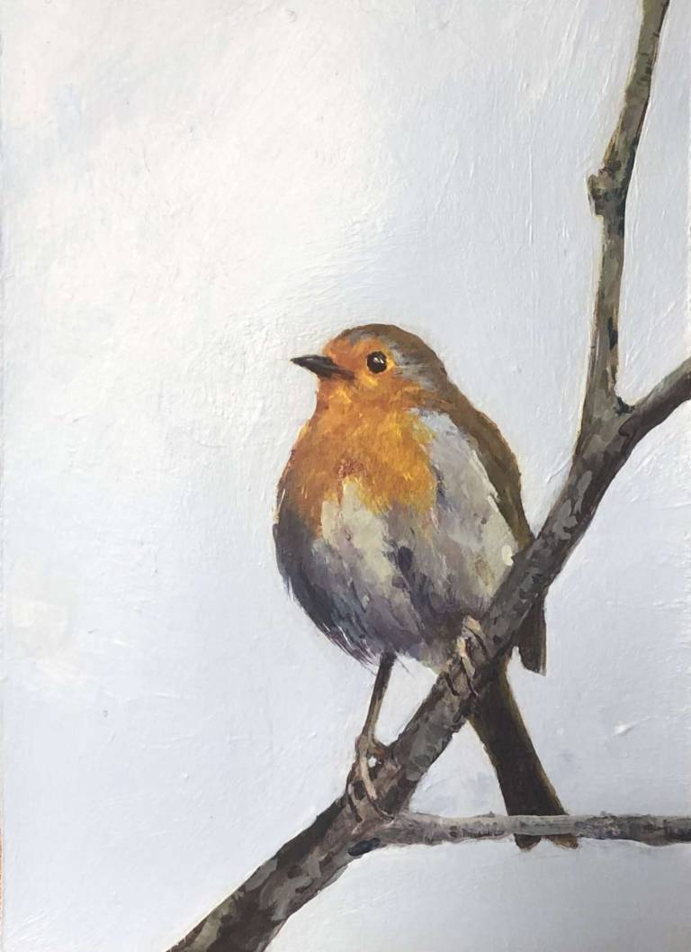 Robin - Mal Cowie