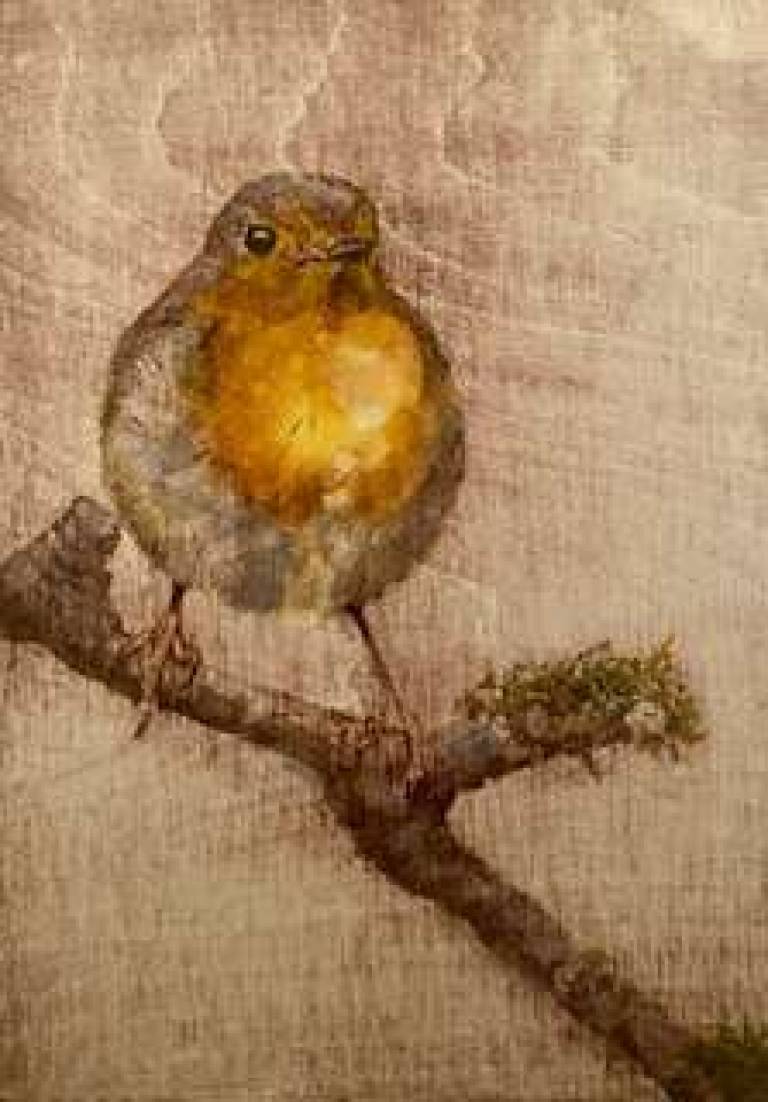 Robin Red Breast - Mal Cowie