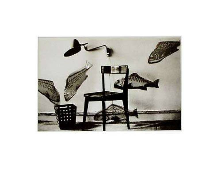 FRIDAY ALTERNATIVE   46, 48, 49 - Mari  Mahr