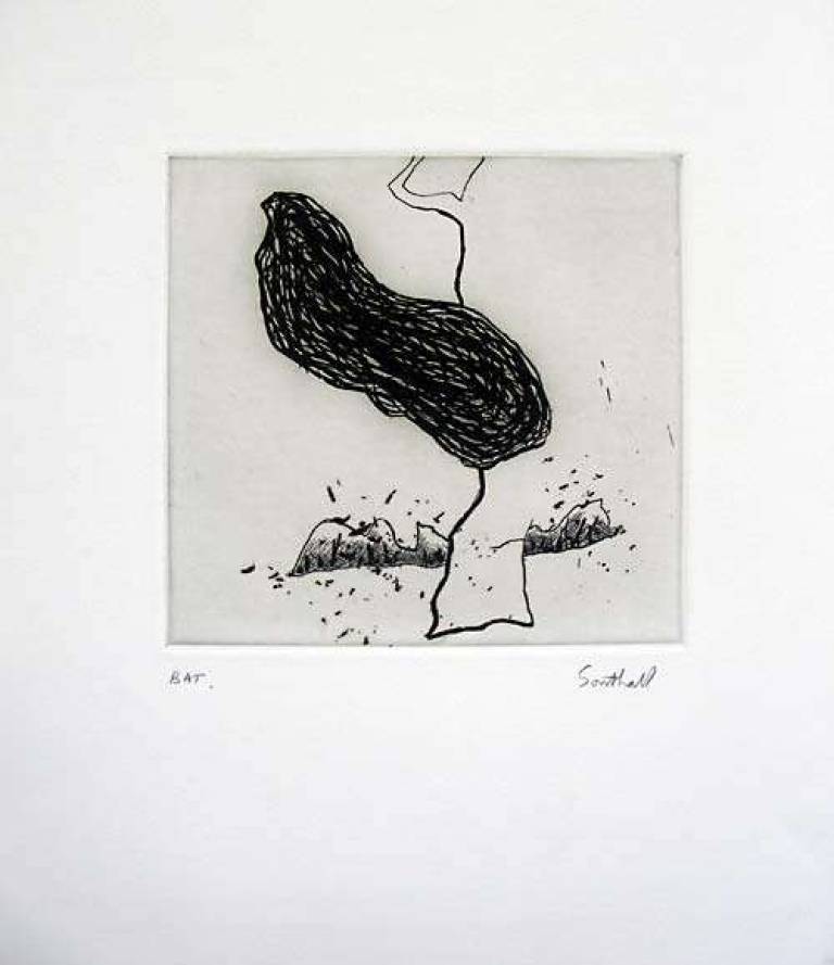 from Brick and Bark no 4  BAT - ANDREW SOUTHALL