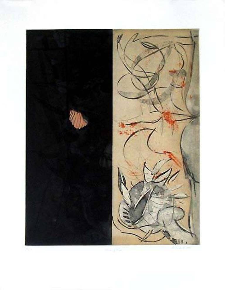 Place of Fire - MAURICE COCKRILL