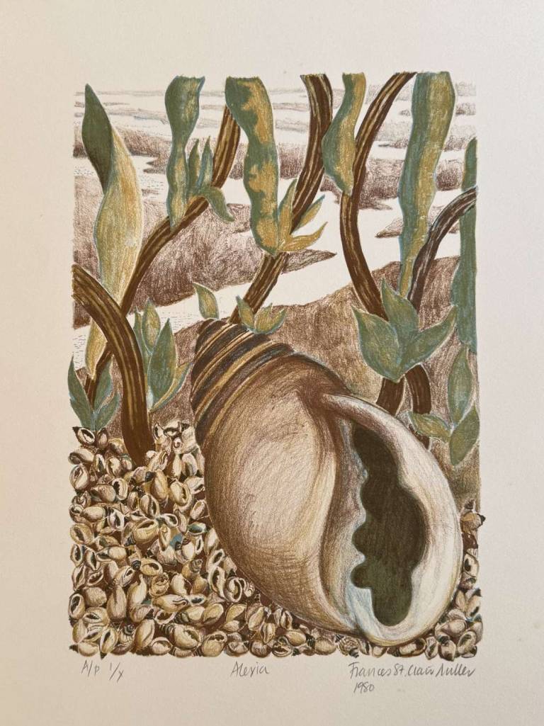 Francis   St Clair Miller - from Shell series no 2