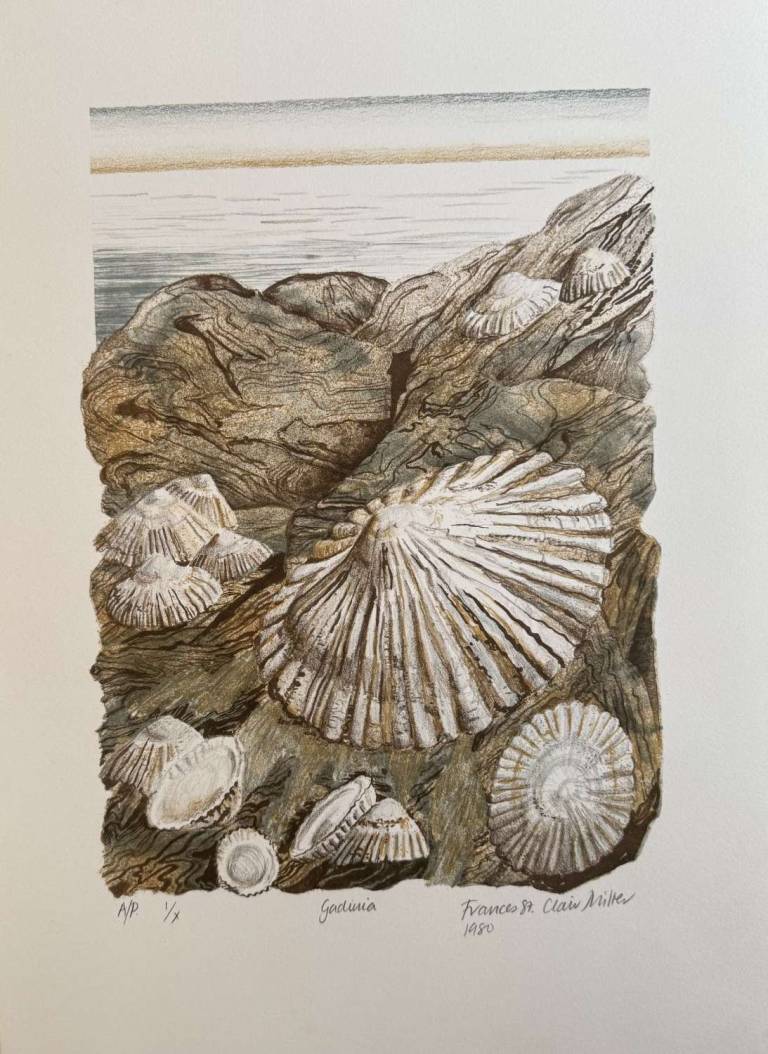 Francis   St Clair Miller - from Shell series no 3