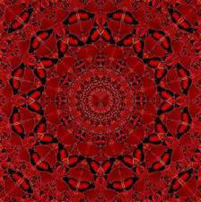 DAMIEN  HIRST - Empress series SUIKO