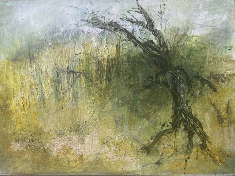 Moorland - 