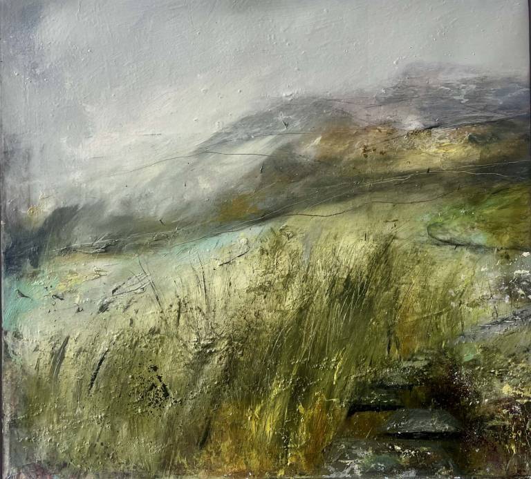 In the Black Mountains - Bev Campbell