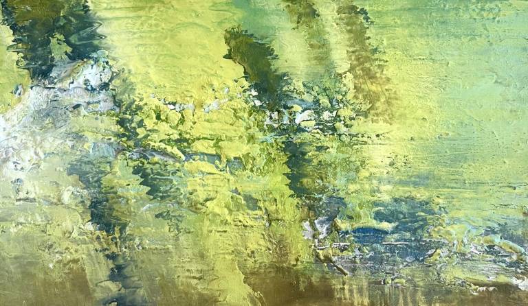 Reflected Light - Bev Campbell