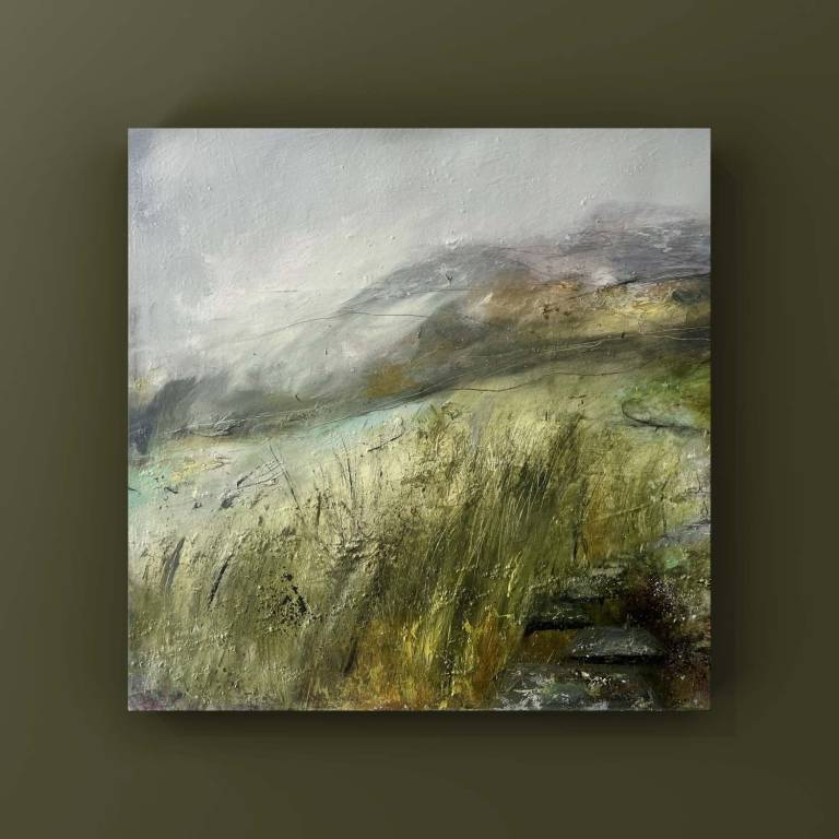 In the Black Mountains - Bev Campbell