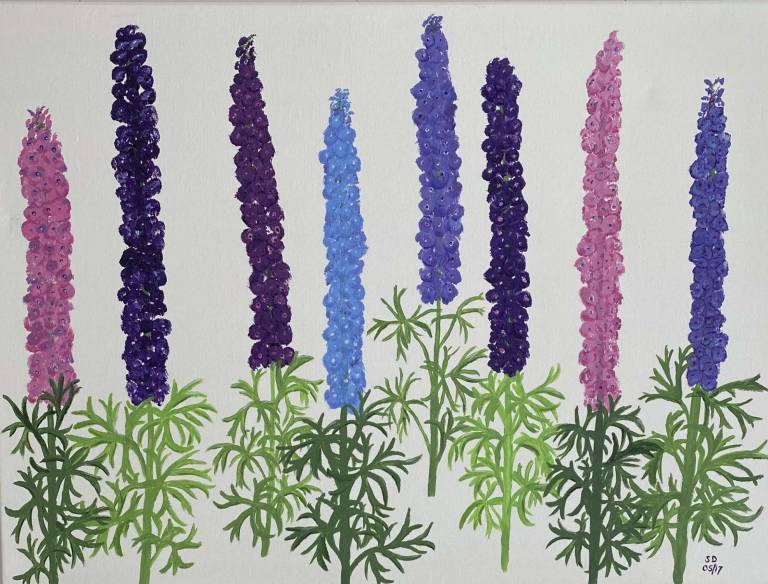 Delphiniums - Sue L Davis