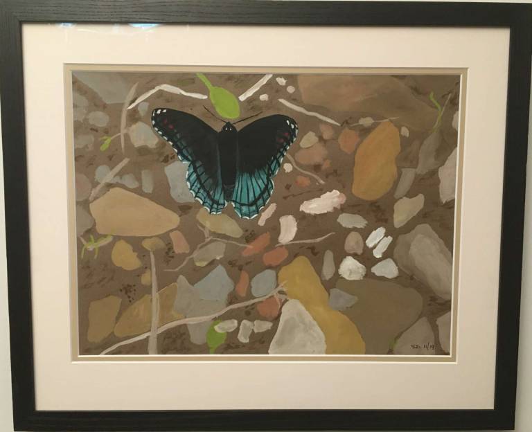 Butterfly on rocks - Sue L Davis