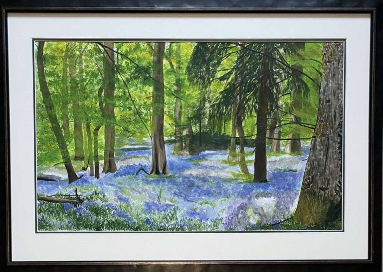 Bluebell wood - Sue L Davis