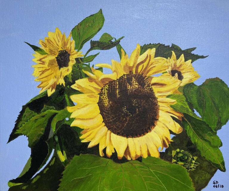 Sunflowers - Sue L Davis