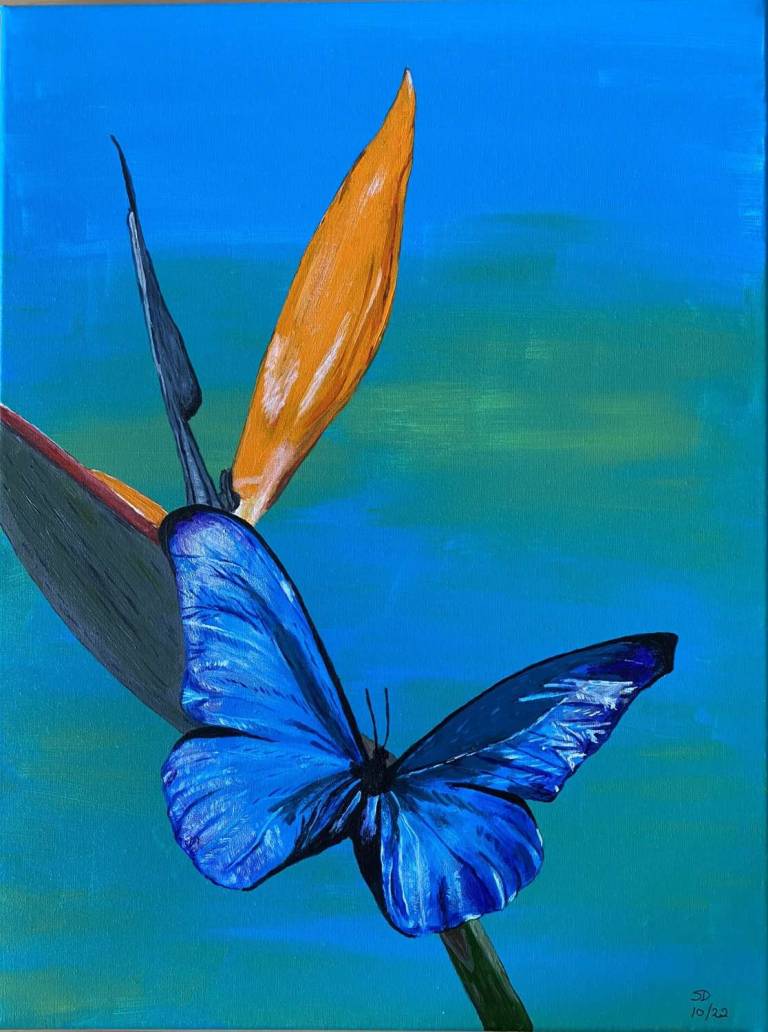 Butterfly on flower - Sue L Davis