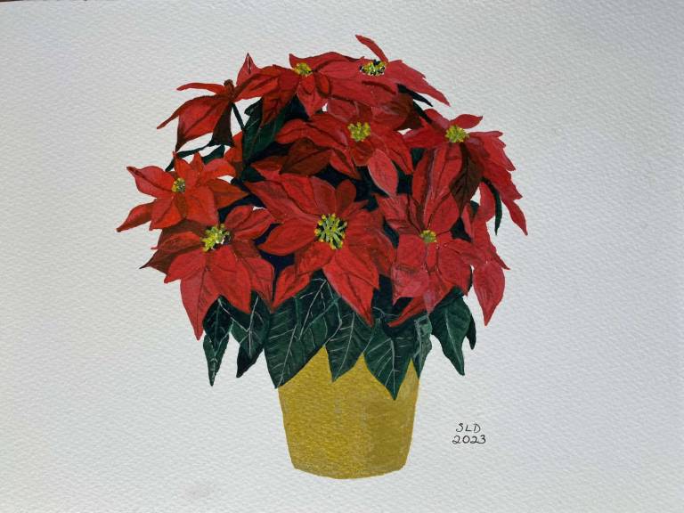 Poinsettia - Sue L Davis