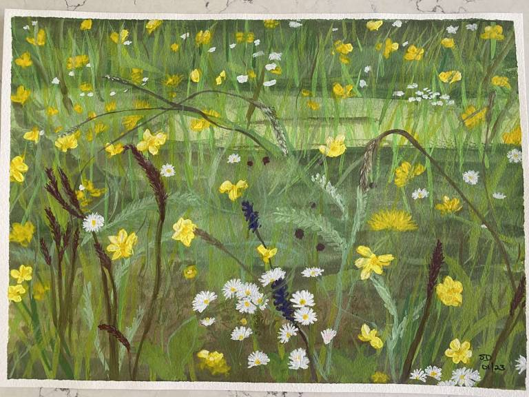 Machair - Sue L Davis