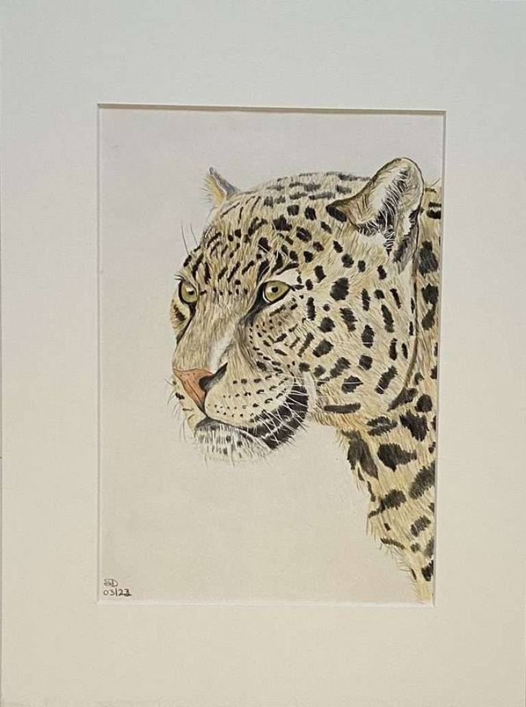 Leopard - Sue L Davis