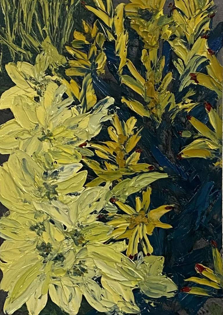 Yellow poinsettas - Sue L Davis