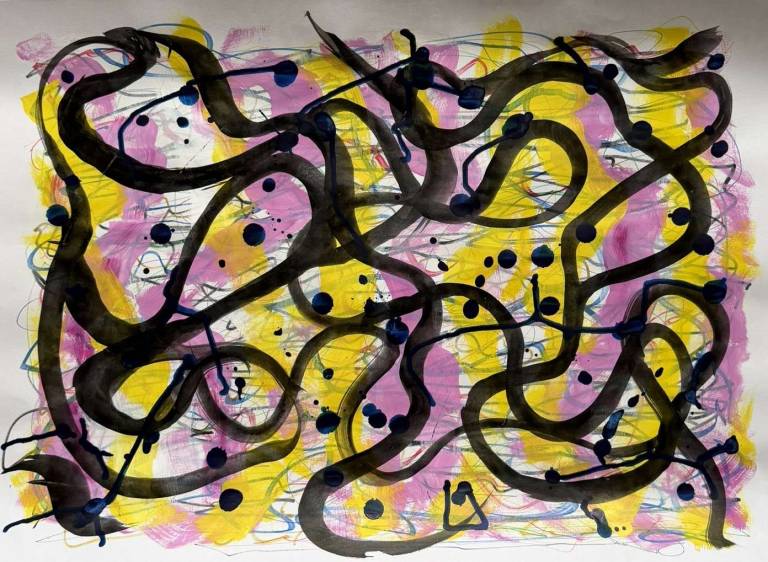 So much chaos - Sue L Davis