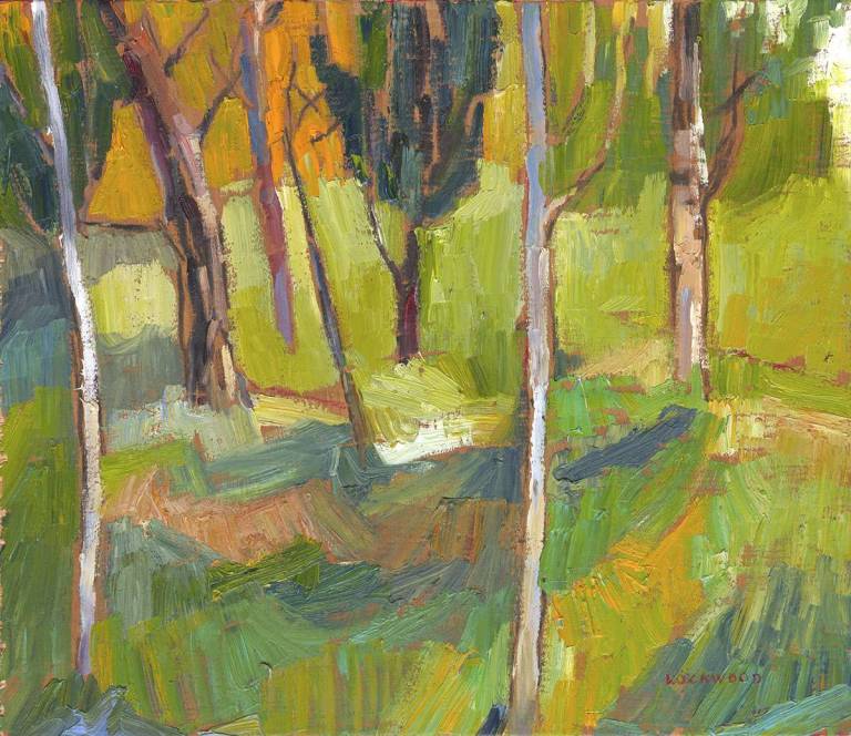 Forest Studies - 