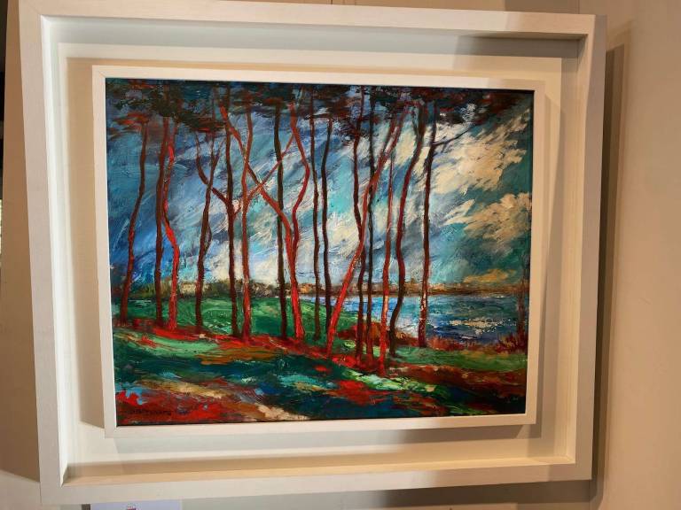 Torbay Trees, (Framed) - Denise Orchard